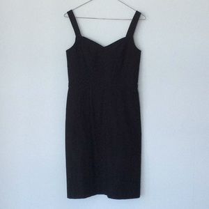 Ann Taylor Black Fitted Cotton Dress
